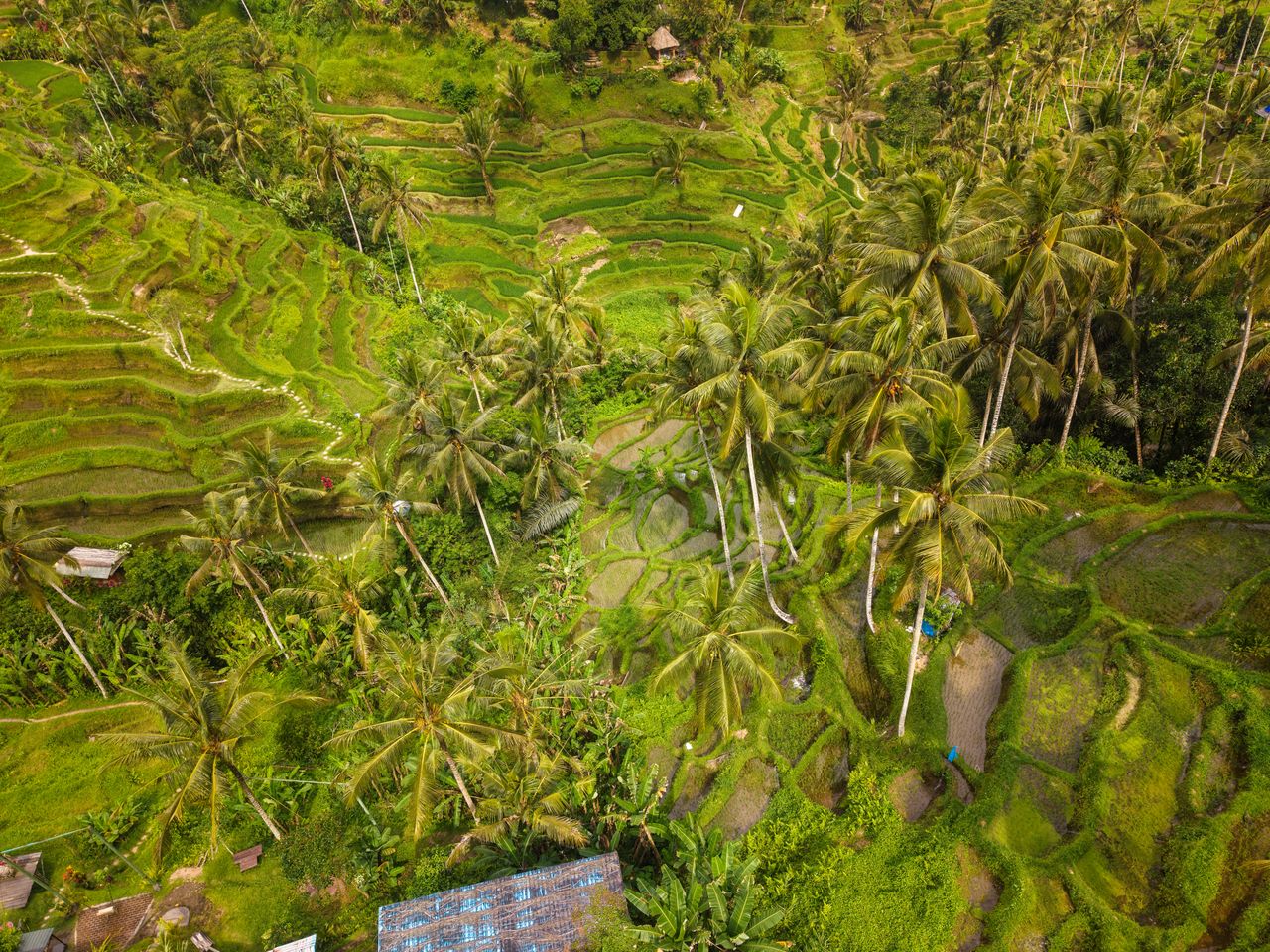 德格拉朗梯田 参考图 1